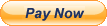 pay now with paypal