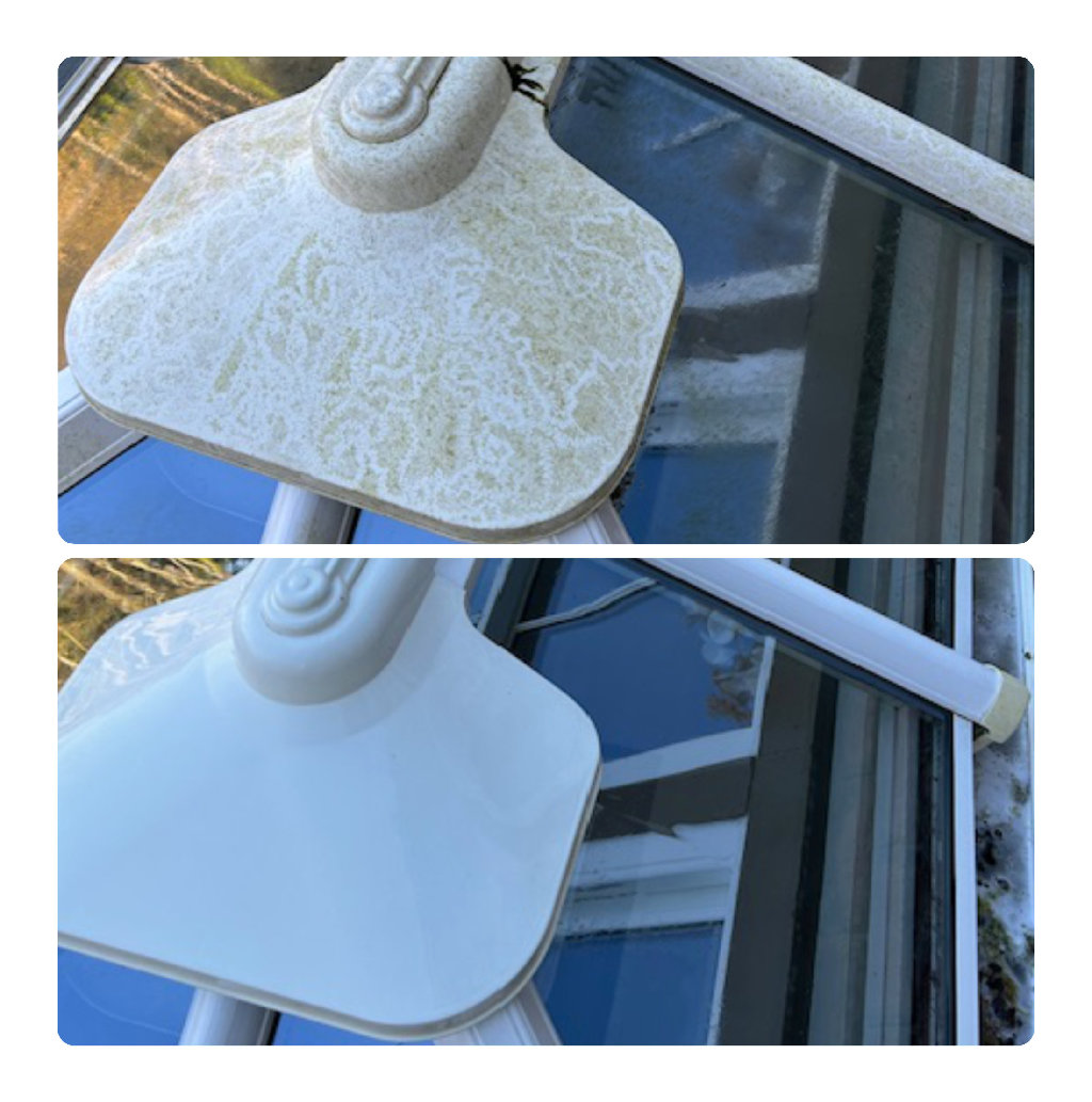 Whites property maintenance