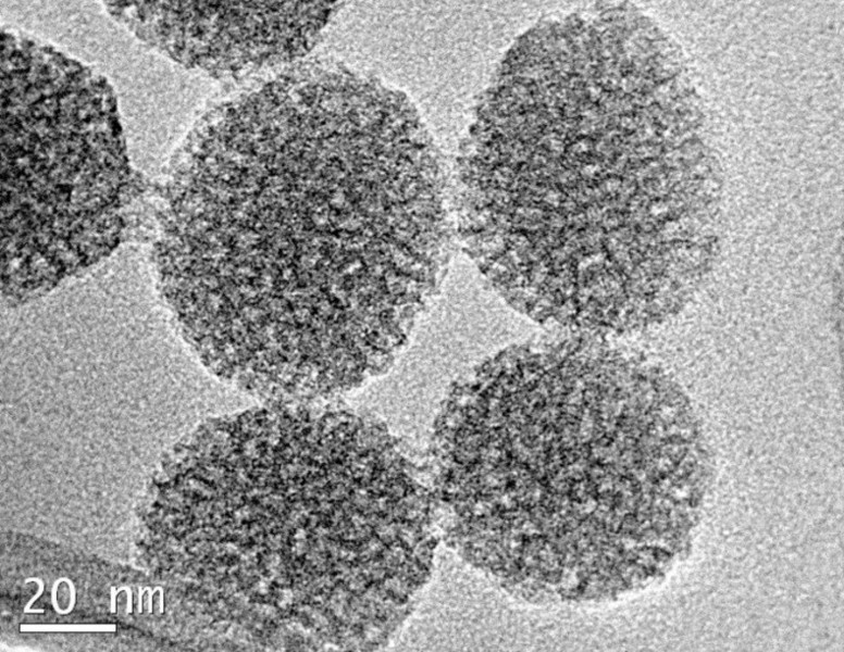 Nanoparticle Theranostics